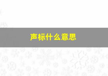 声标什么意思