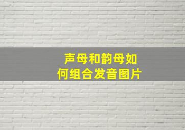 声母和韵母如何组合发音图片