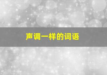 声调一样的词语