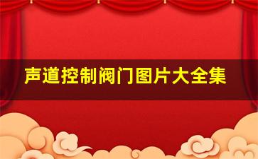 声道控制阀门图片大全集