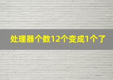 处理器个数12个变成1个了