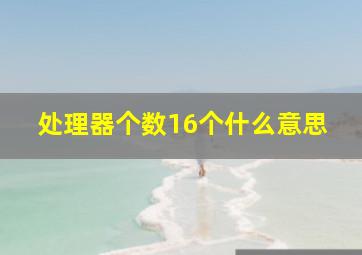 处理器个数16个什么意思