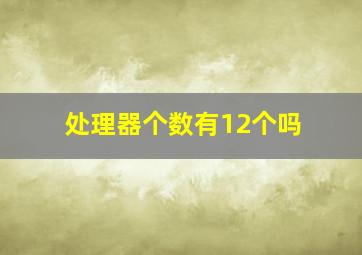 处理器个数有12个吗