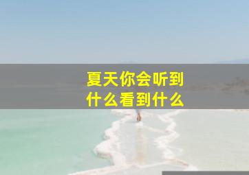 夏天你会听到什么看到什么