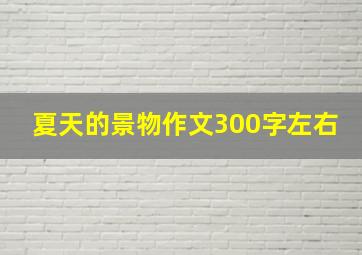 夏天的景物作文300字左右