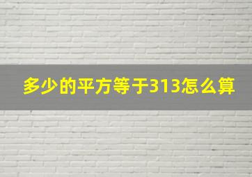 多少的平方等于313怎么算