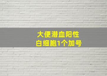 大便潜血阳性白细胞1个加号