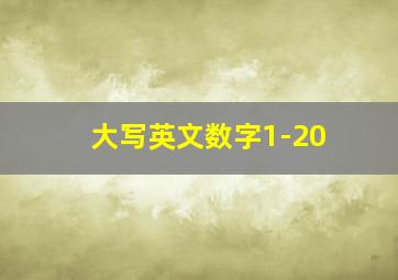 大写英文数字1-20