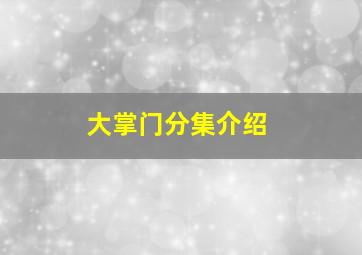 大掌门分集介绍