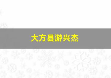 大方县游兴杰