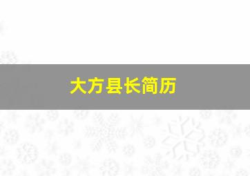 大方县长简历