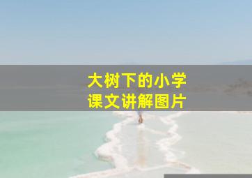 大树下的小学课文讲解图片