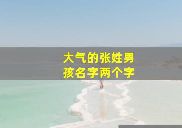 大气的张姓男孩名字两个字