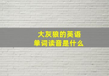 大灰狼的英语单词读音是什么