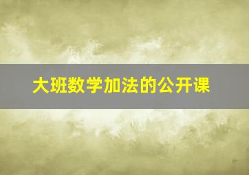 大班数学加法的公开课