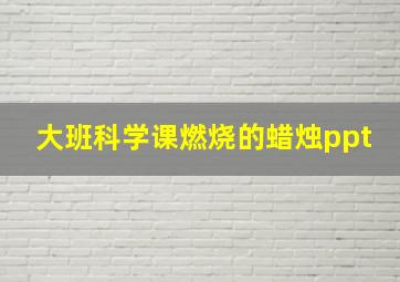 大班科学课燃烧的蜡烛ppt