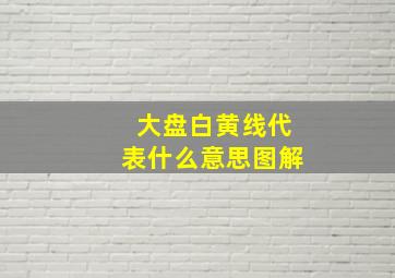 大盘白黄线代表什么意思图解