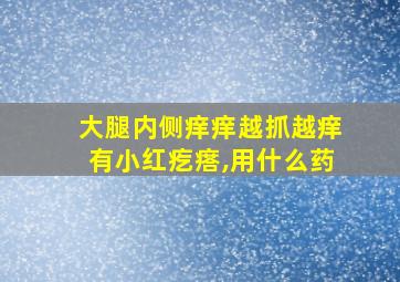 大腿内侧痒痒越抓越痒有小红疙瘩,用什么药