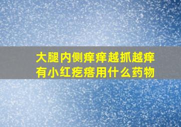 大腿内侧痒痒越抓越痒有小红疙瘩用什么药物