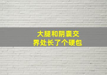 大腿和阴囊交界处长了个硬包