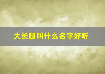 大长腿叫什么名字好听