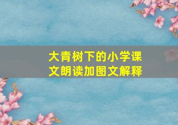 大青树下的小学课文朗读加图文解释