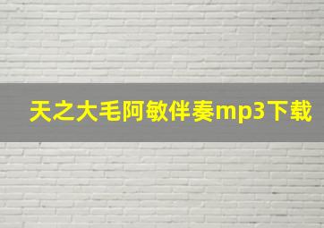 天之大毛阿敏伴奏mp3下载