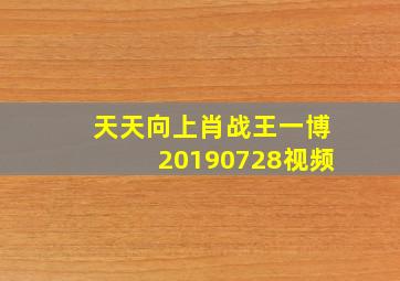 天天向上肖战王一博20190728视频