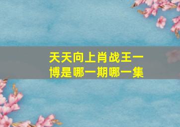 天天向上肖战王一博是哪一期哪一集