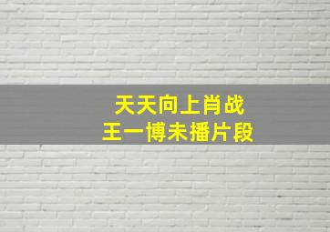 天天向上肖战王一博未播片段