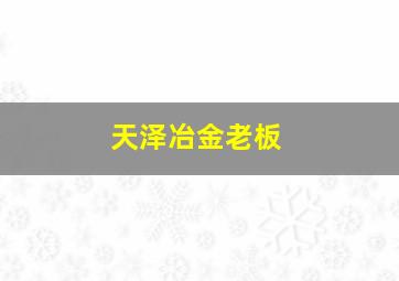 天泽冶金老板