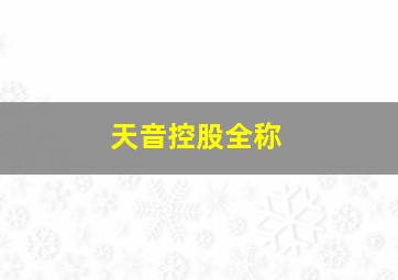 天音控股全称