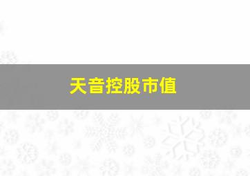 天音控股市值