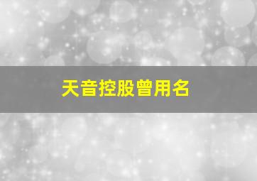 天音控股曾用名