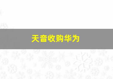 天音收购华为