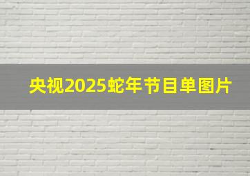 央视2025蛇年节目单图片