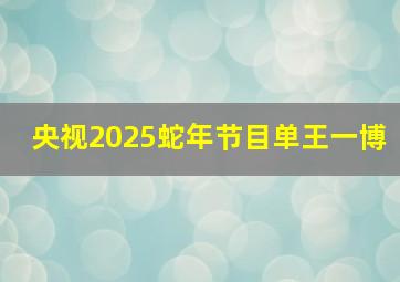 央视2025蛇年节目单王一博