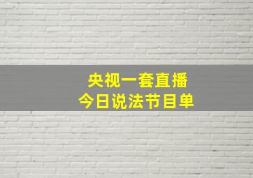 央视一套直播今日说法节目单