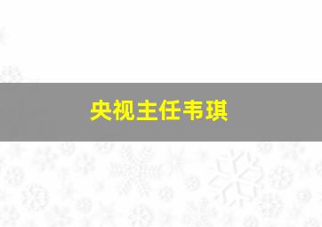 央视主任韦琪