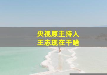 央视原主持人王志现在干啥