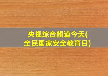 央视综合频道今天(全民国家安全教育日)