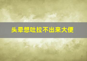 头晕想吐拉不出来大便