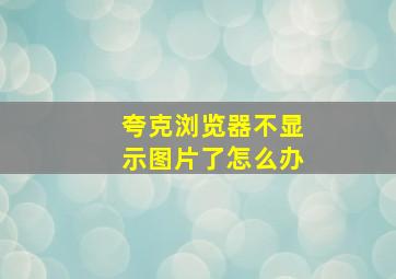 夸克浏览器不显示图片了怎么办