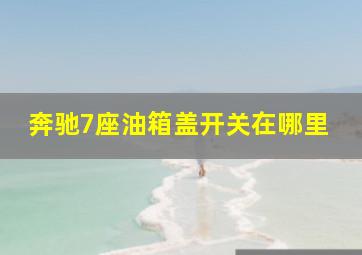 奔驰7座油箱盖开关在哪里