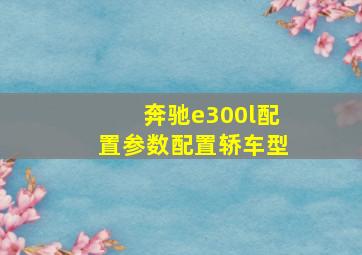 奔驰e300l配置参数配置轿车型