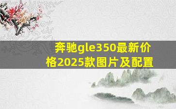 奔驰gle350最新价格2025款图片及配置