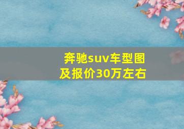 奔驰suv车型图及报价30万左右