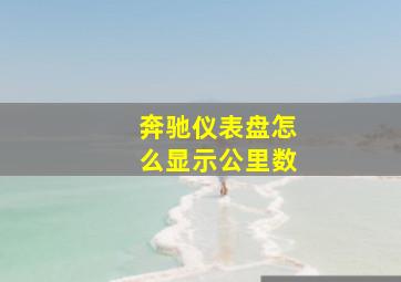 奔驰仪表盘怎么显示公里数