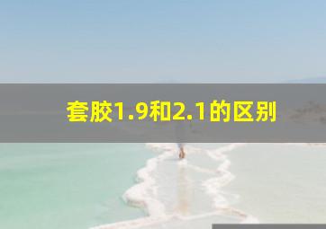 套胶1.9和2.1的区别