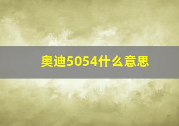 奥迪5054什么意思